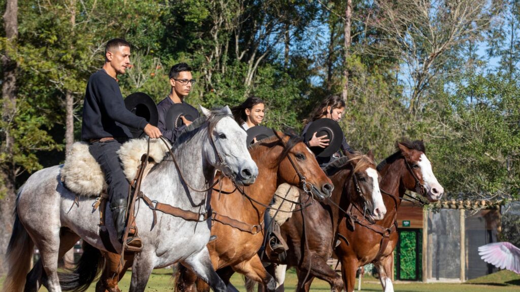 Cavalo crioulo ecoparque