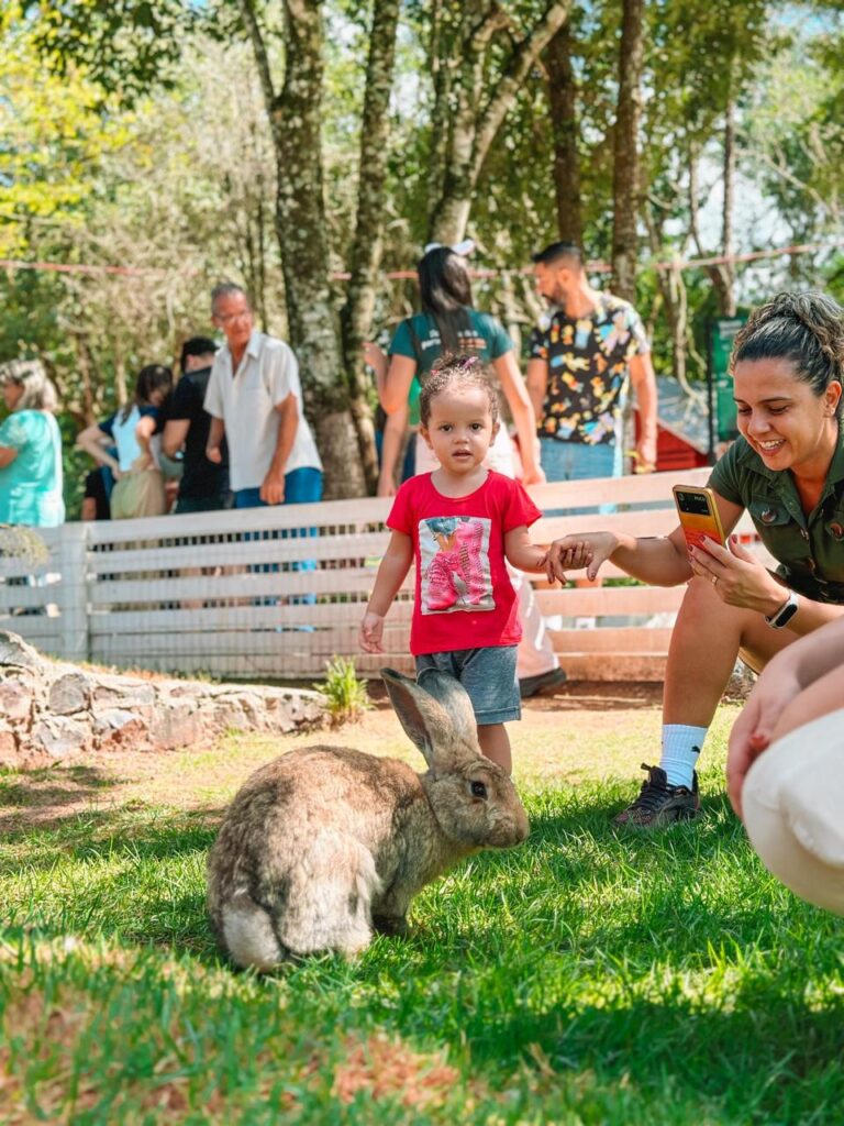 É férias: Complexo Dreams em Foz é sinônimo de diversão e conexão com a natureza