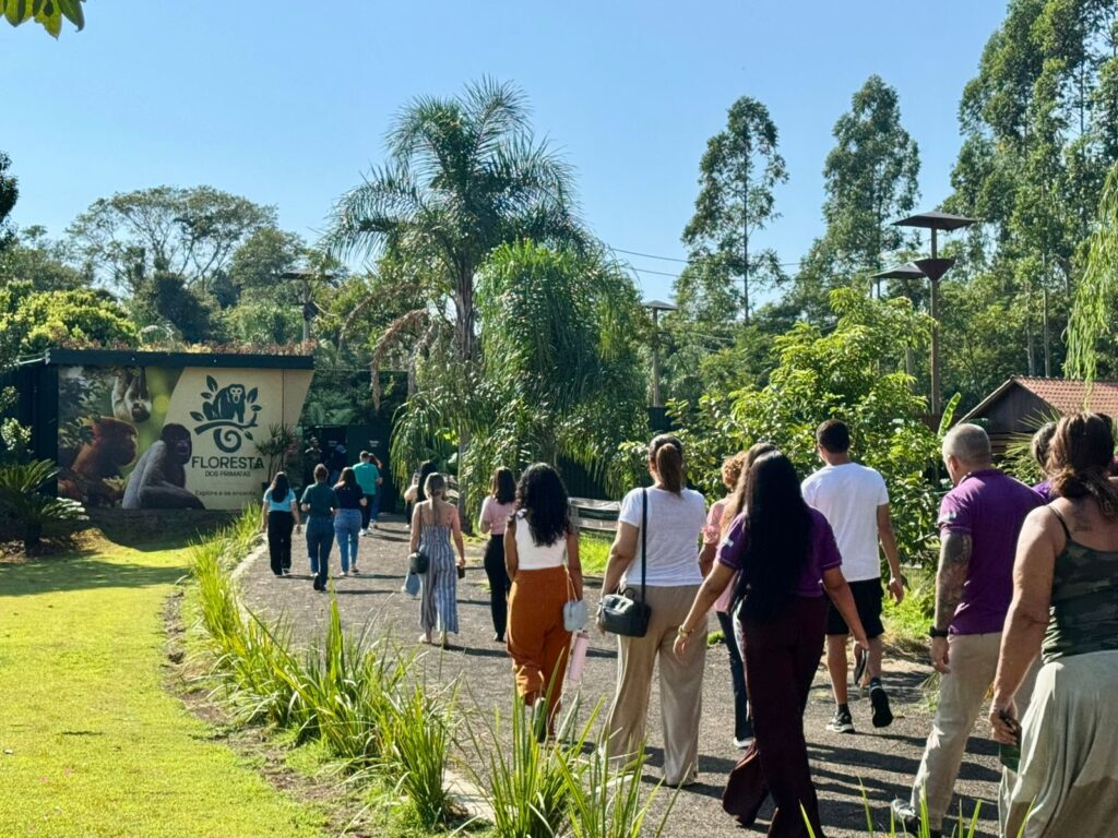 Floresta dos Primatas: Primeiro recinto de imersão com macacos do Brasil abre as portas aos visitantes em Foz