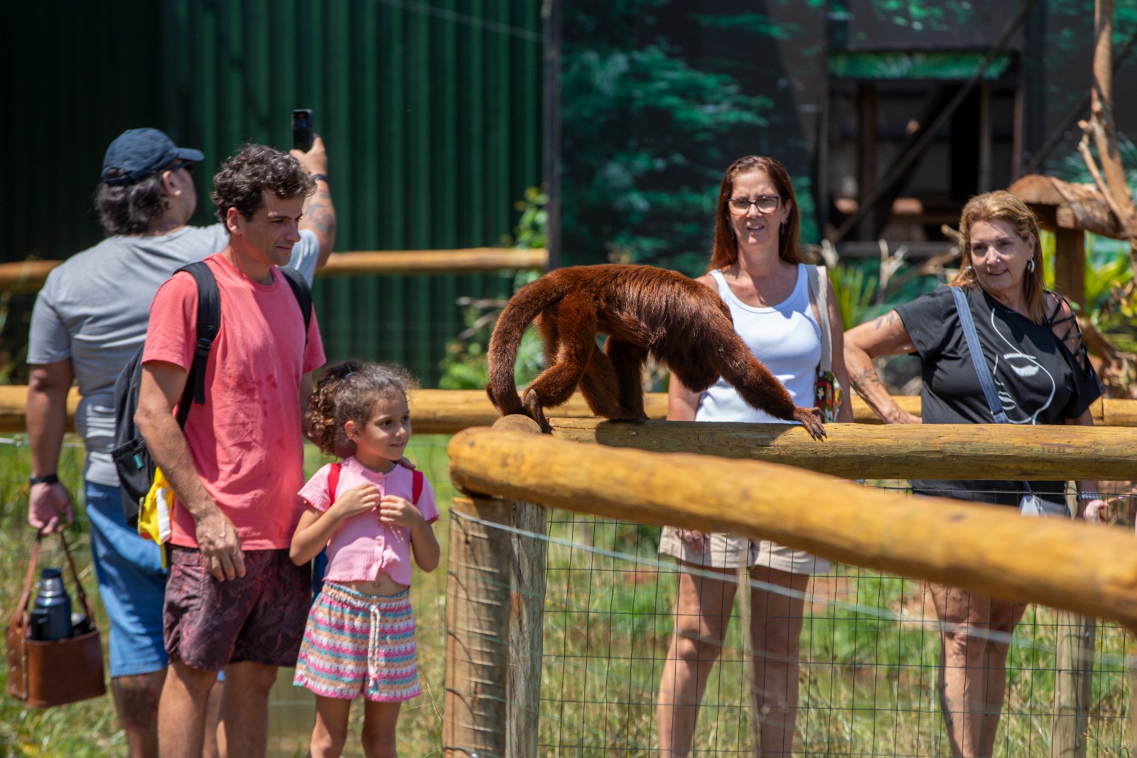 Floresta dos Primatas encanta turistas de várias partes do mundo